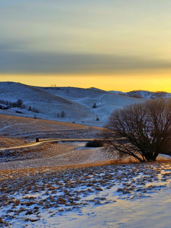 По дороге в угодья