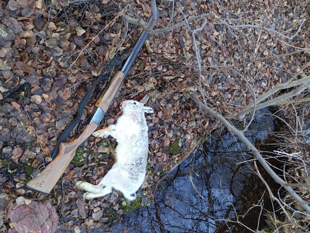 Продолжение отпуска ( в узерку).