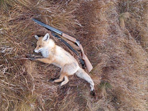 Подрегулировал, 25.11.2025г