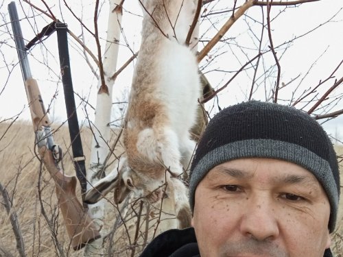 Открытие на русака, ходовая