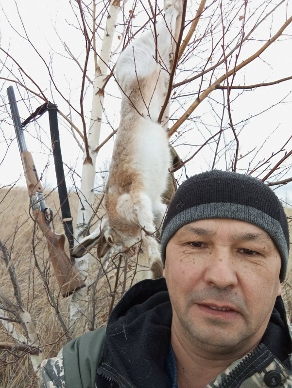 Открытие на русака, ходовая