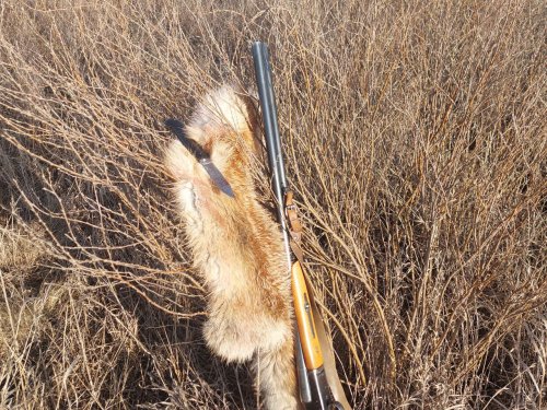 Рекомендация)))