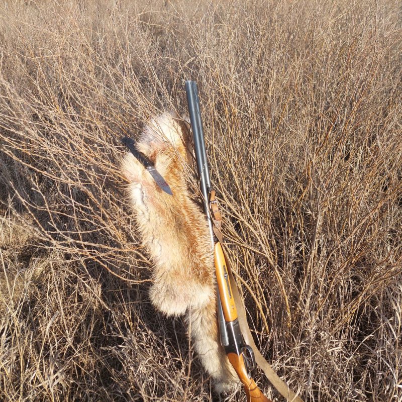 Рекомендация)))