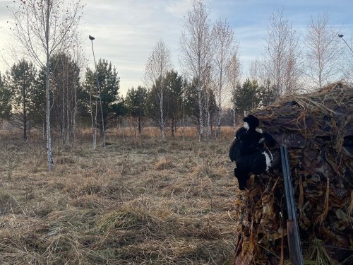 Работаем с чучелами))