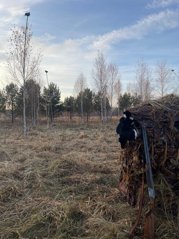 Работаем с чучелами))