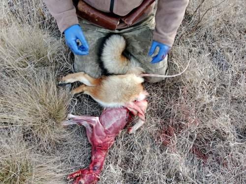 Грубая мужская работа—1