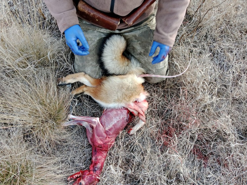 Грубая мужская работа—1