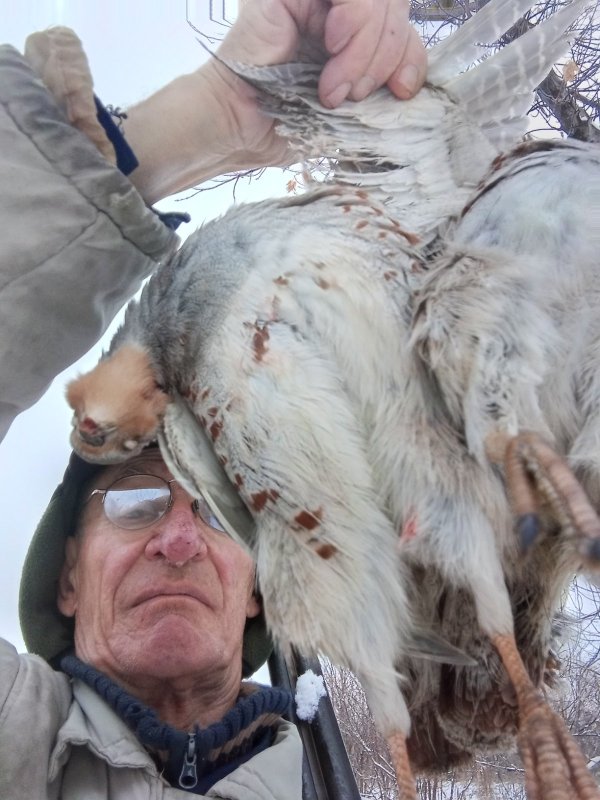 07.11.25 Ходовая охота.