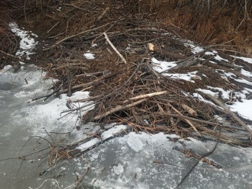 ставим капкан