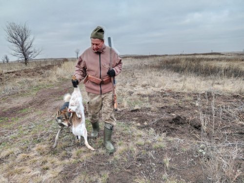 Друзья встречают...