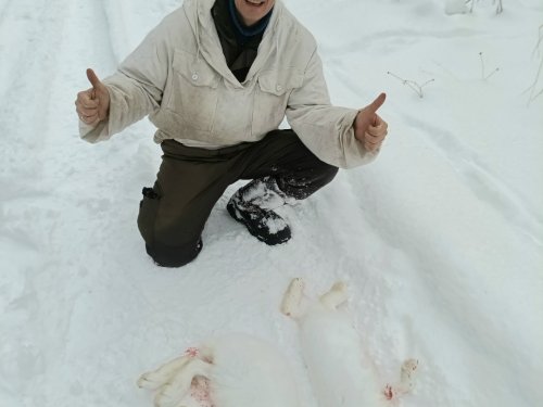 Два зайца за один день.