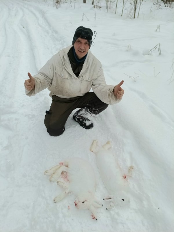 Два зайца за один день.