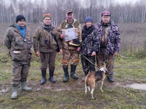 Состояние гончих в Башкирии