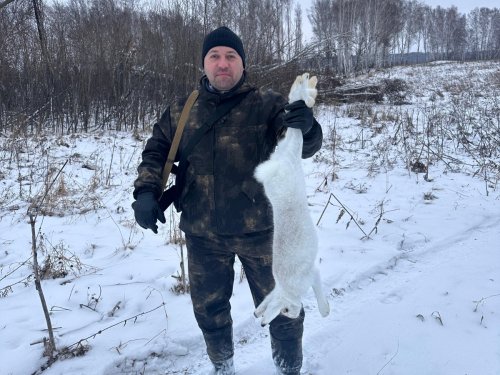 Белячок по фэншую