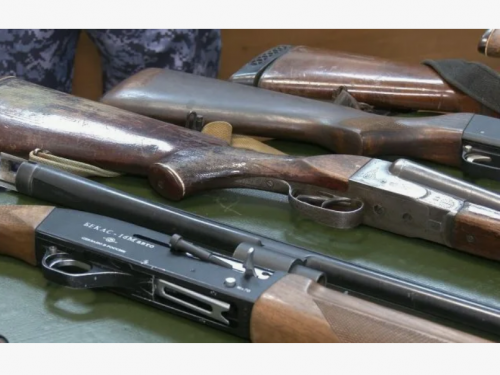 В Новосибирской области снижается количество продлеваемых лицензий на оружие