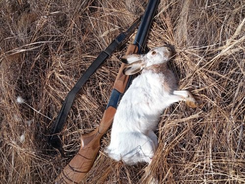 В первый день отпуска.