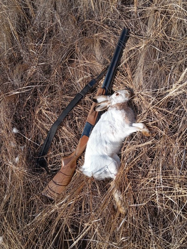 В первый день отпуска.