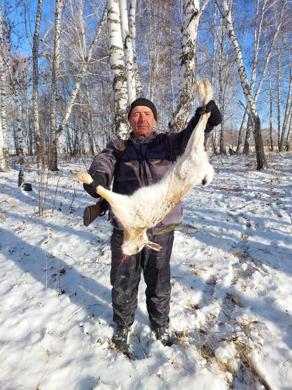 Вот и русак!