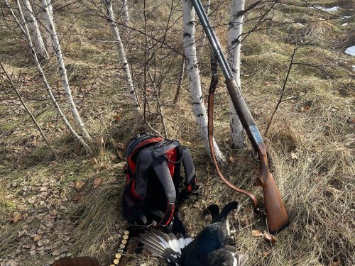 Случайные налёты тоже бывают)(