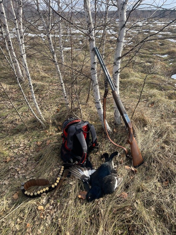 Случайные налёты тоже бывают)(