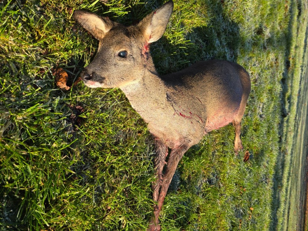 И на нашей улице праздник!