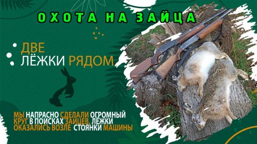 ДВЕ ЛЁЖКИ РЯДОМ. Охота на зайца - русака 2025