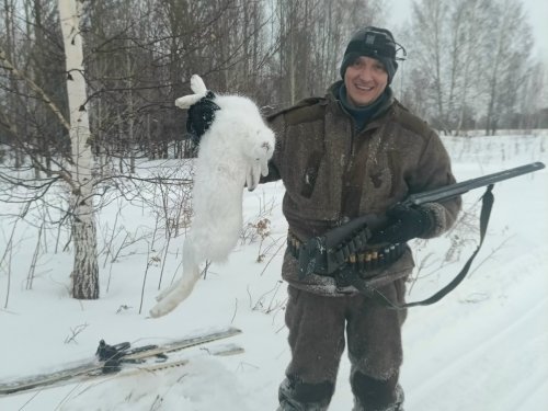 За сезон шестой зайчик.