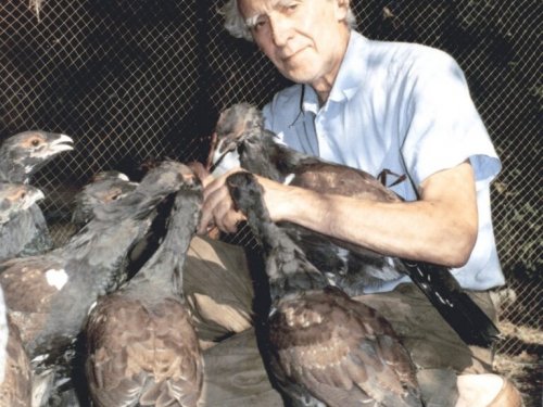 Кирпичёв Сергей Павлович (1932-2025г)