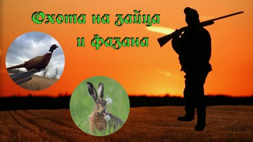 КАК ПОДХОДИТЬ К ЛЁЖКЕ ЗАЙЦА. Охота на зайца - русака 2025