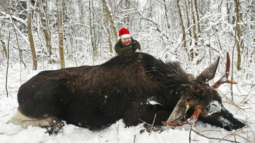 Охота НА ЛОСЯ. Финальный выезд года...