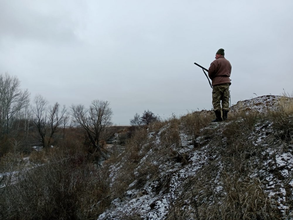 Позднее волнение...)))