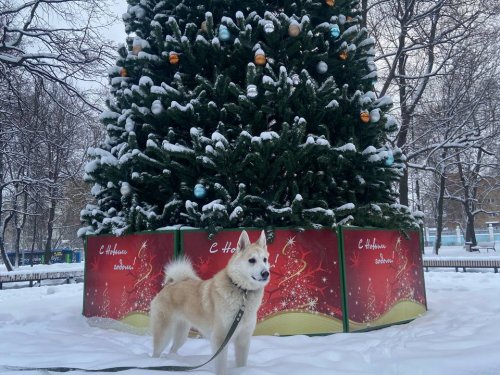 с наступающим 2026