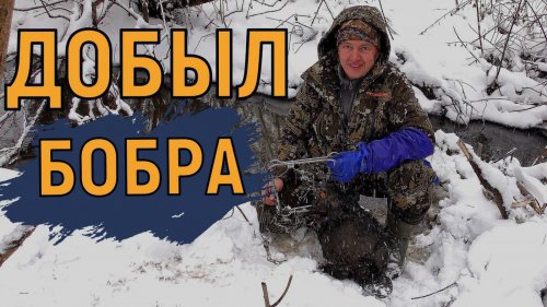 Гастрономический бобр / Растерзанная выдра / Проверка капканов