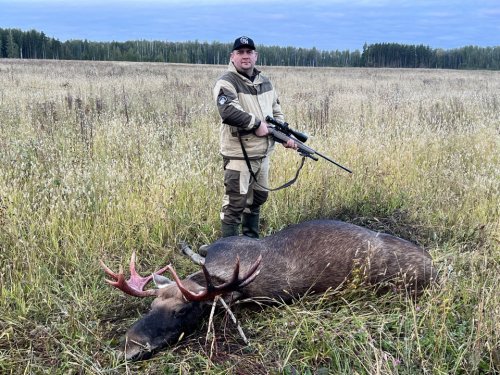 Молодой бычок