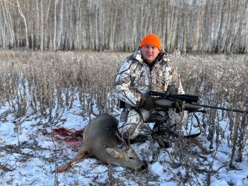 Самец косули