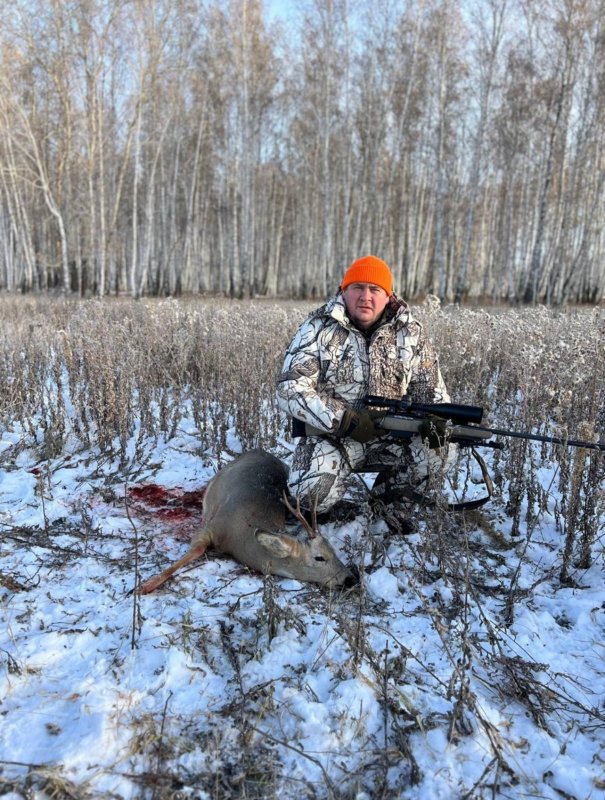 Самец косули