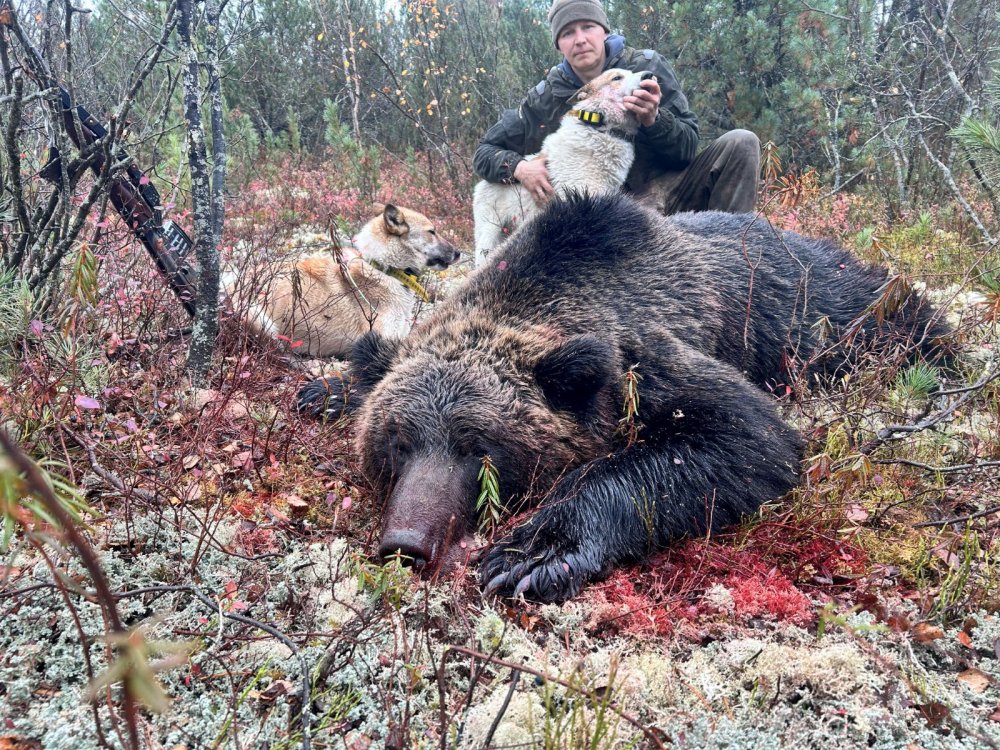 Терминатор