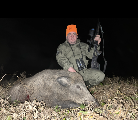 Старый секач