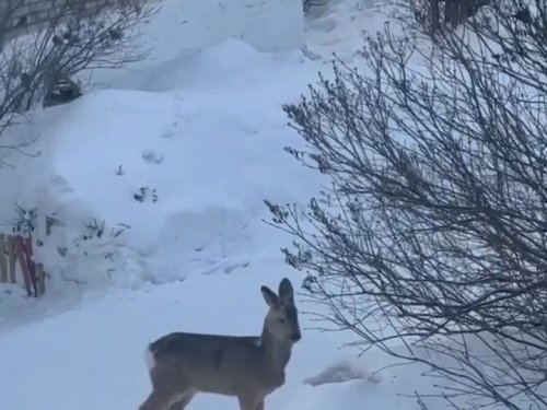 Вид из окна