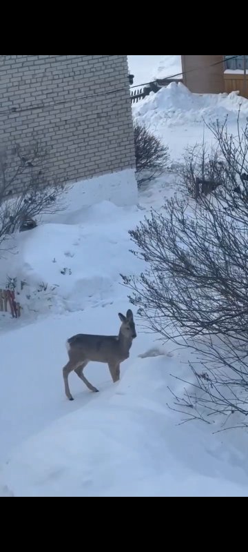 Вид из окна