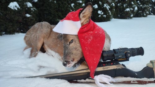 Предновогодняя охота на косулю с ARKON Arma HR50l. Подведение итогов. Охота-браконьерство на бобра!