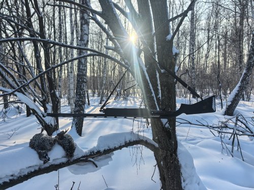 Рябчики в морозный погожий денёк