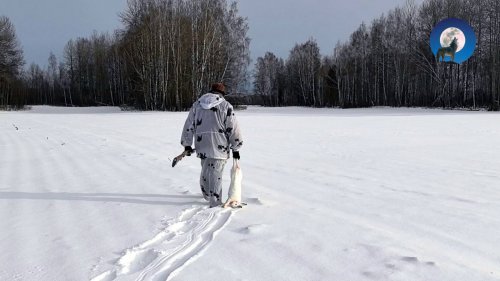 ОХОТА НА ЗАЙЦА ЗИМОЙ. И ТАКОЕ БЫВАЕТ! ????