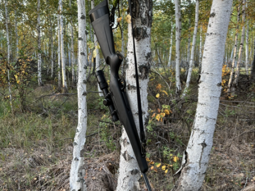 Первый карабин