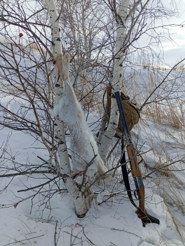 19 января 2026г.