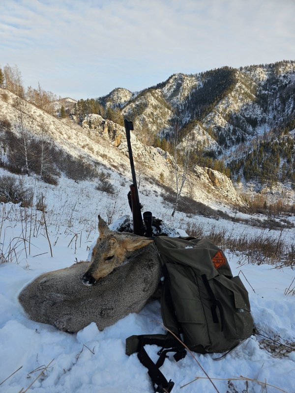 Завершение сезона