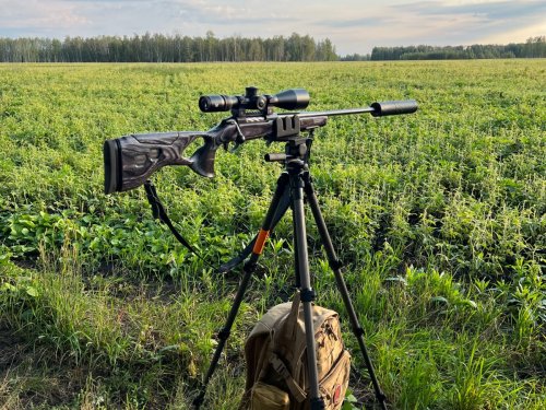 Приятные моменты с трофейной охоты на самца косули