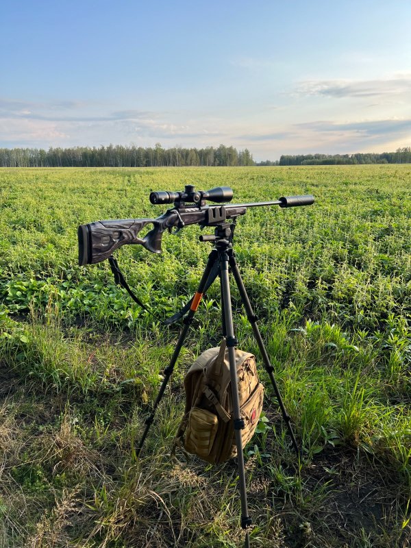 Приятные моменты с трофейной охоты на самца косули