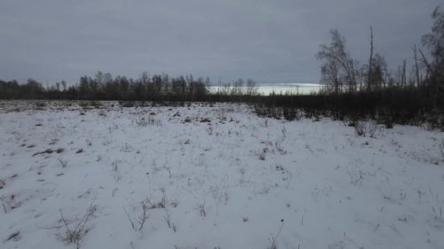 Ходовая охота на косулю