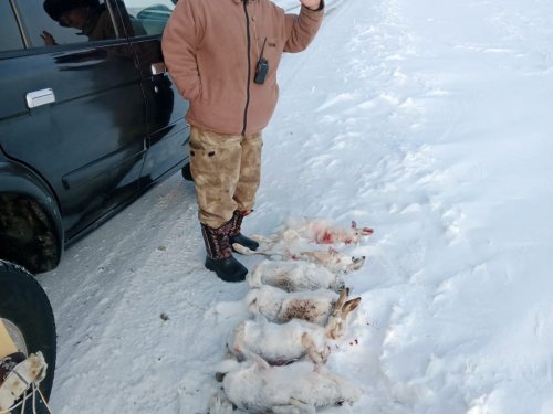 Слаженная команда и слаженная работа...